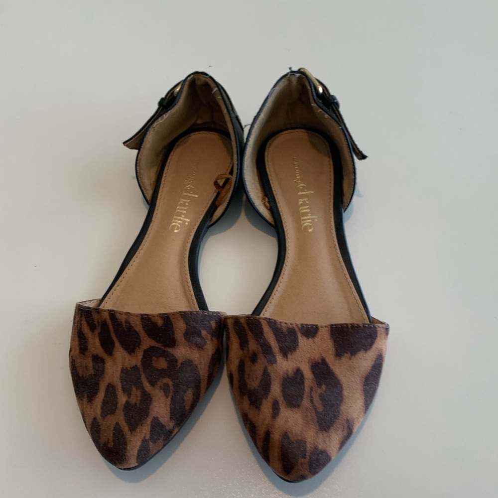 Cheetah Flats